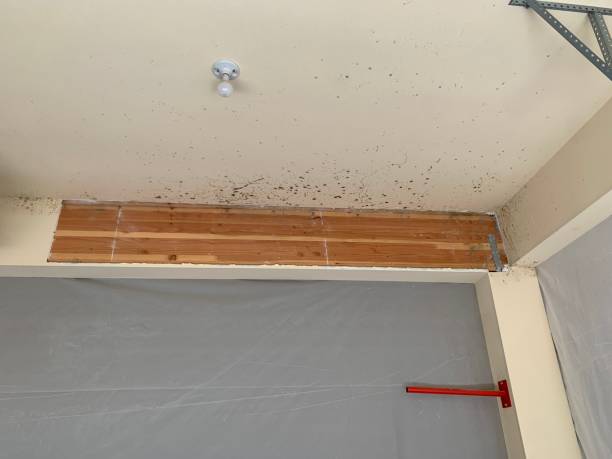Best Dehumidification Services  in Fort Madison, IA