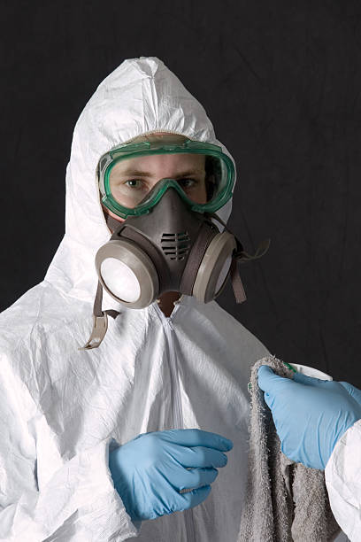 Fort Madison, IA Mold Removal Company